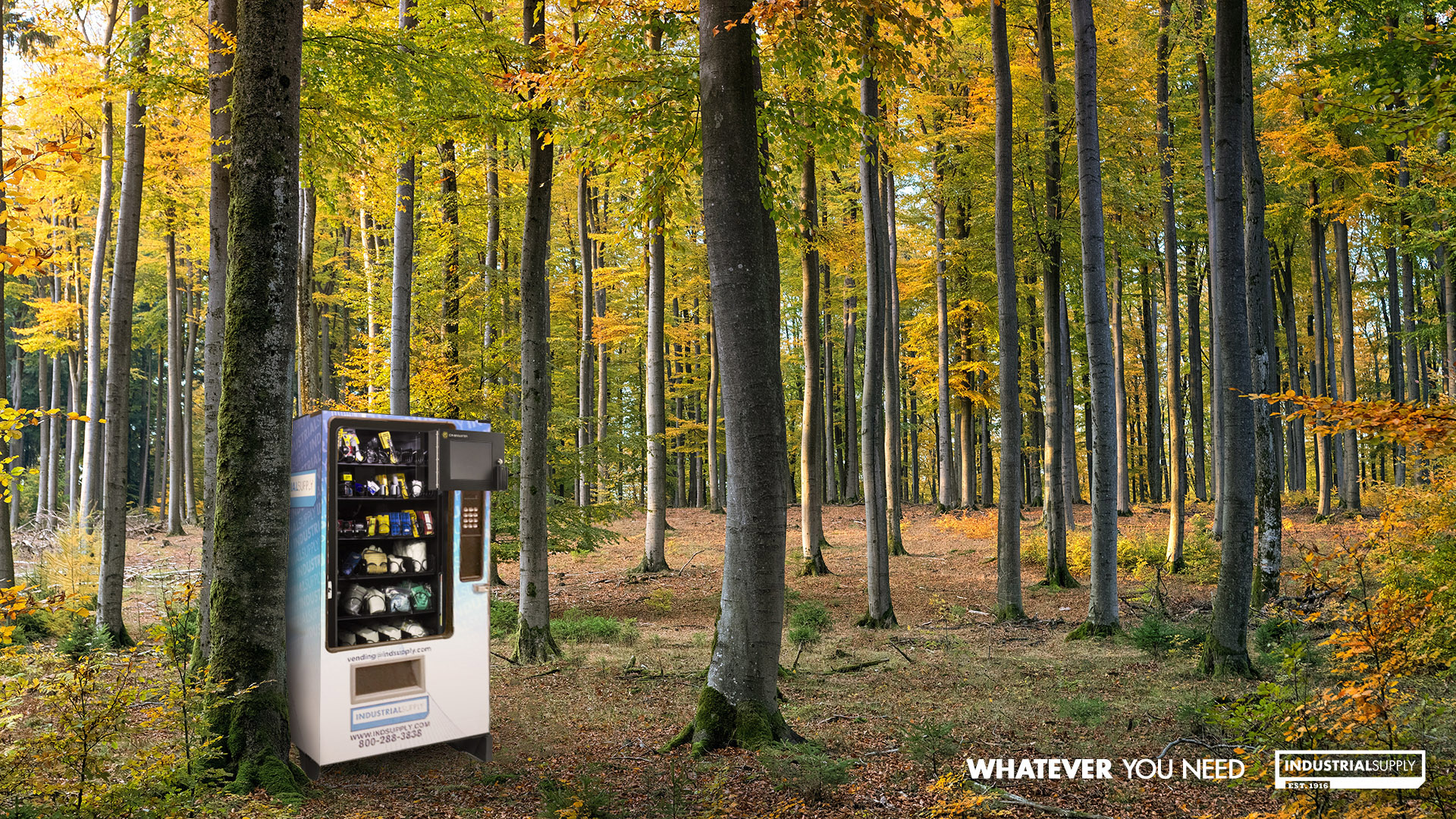 ISC Whatever Forest Ad