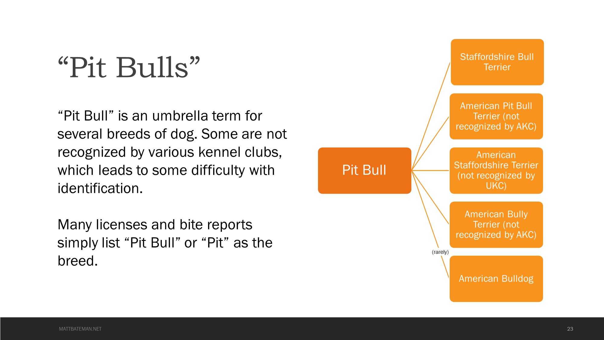 Pit Bull - Umbrella Term