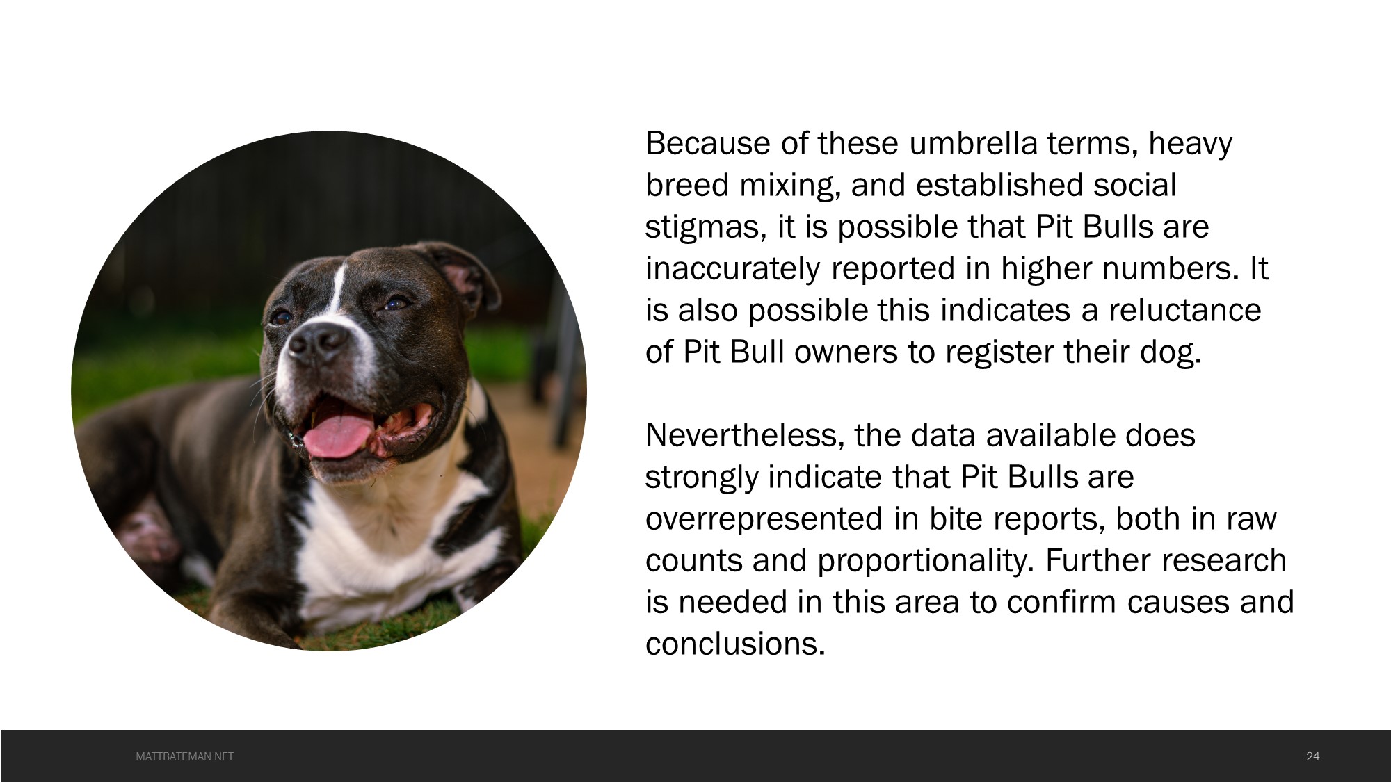 Important Notes on Pit Bulls
