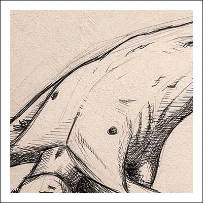 pencil drawing of a male torso